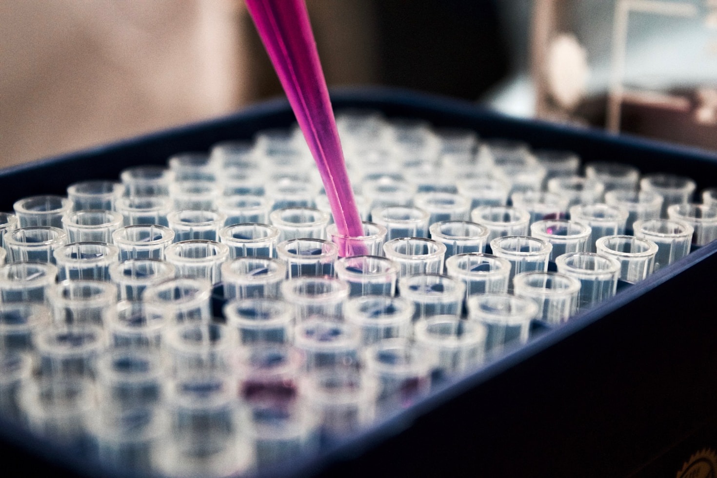 Understanding The Fundamentals Of Peptide Stability